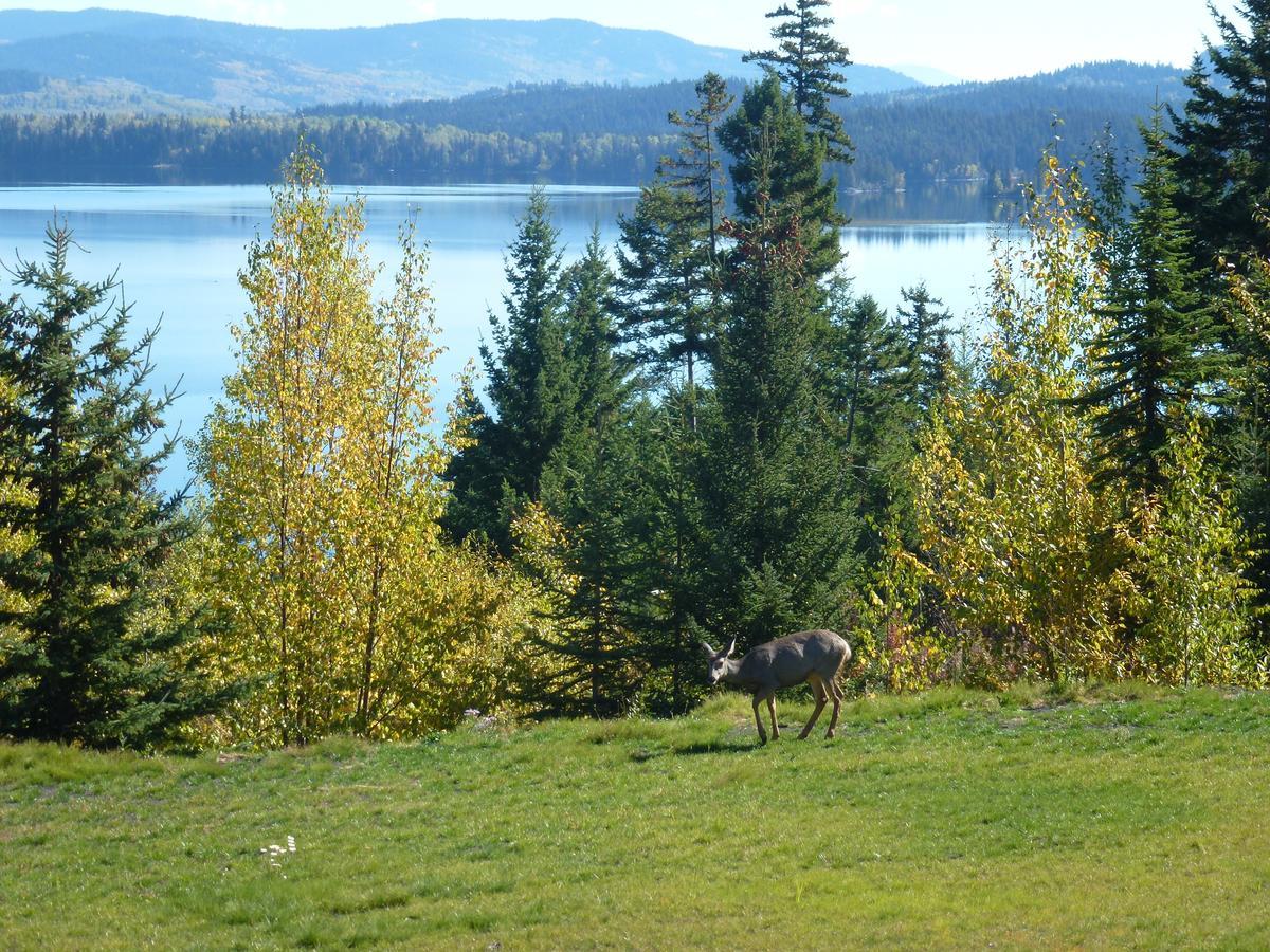 Bridge Lake Little Black Bear Lodge/B&B מראה חיצוני תמונה