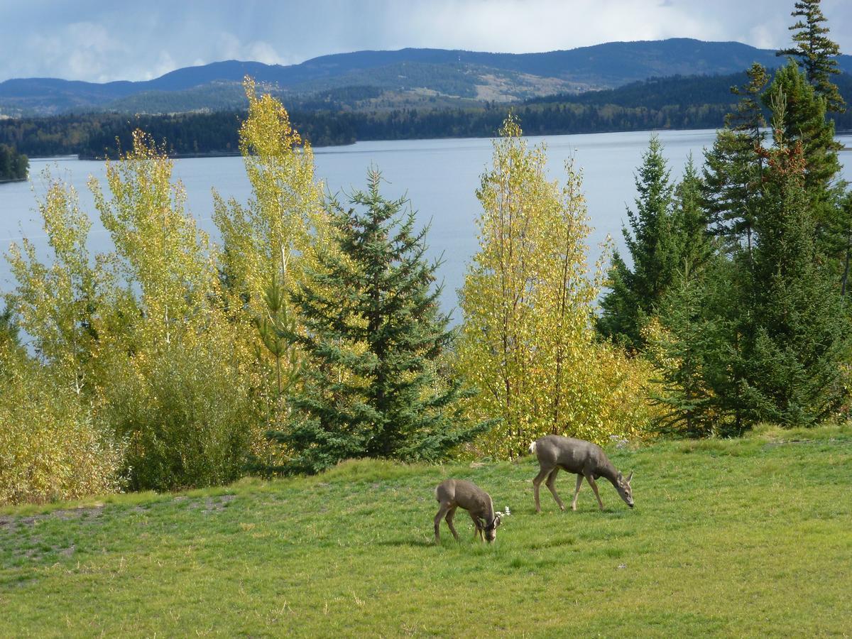 Bridge Lake Little Black Bear Lodge/B&B מראה חיצוני תמונה