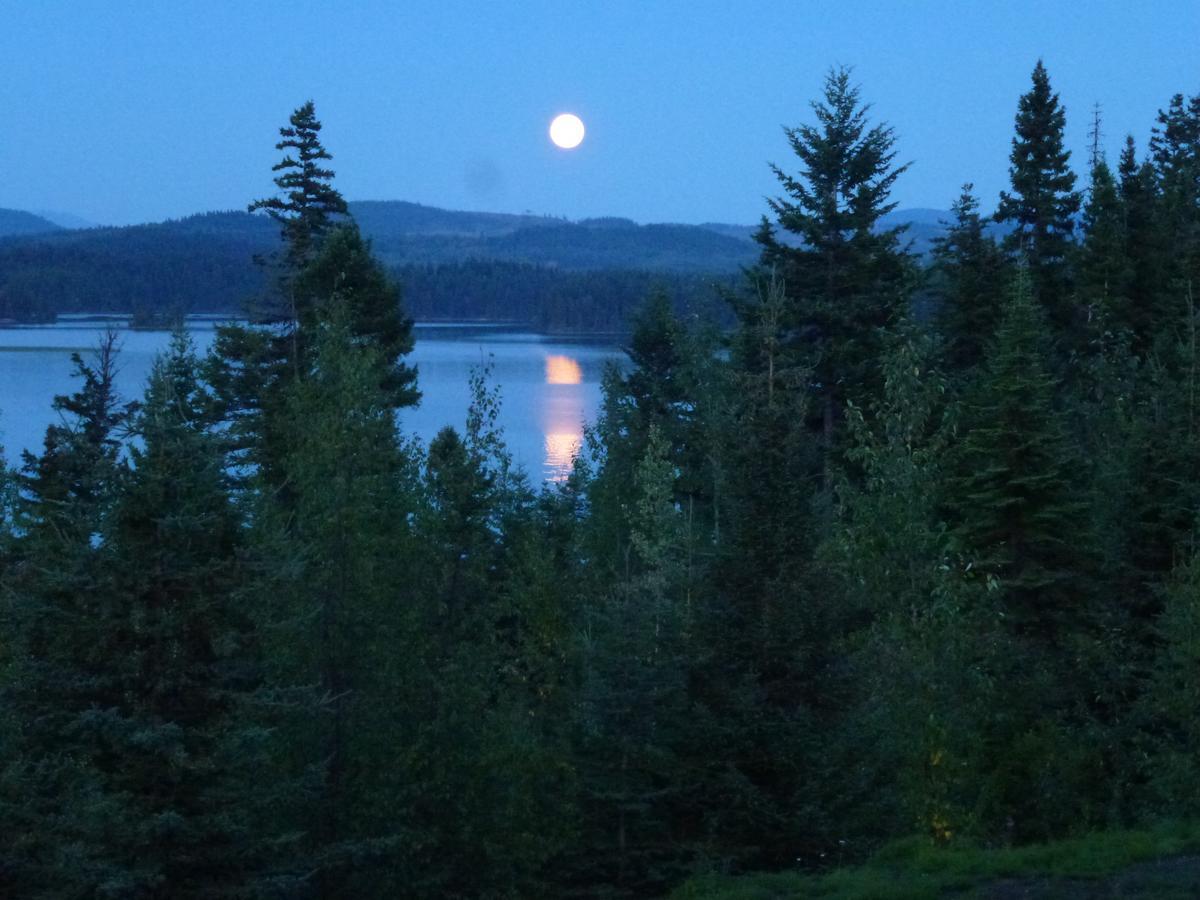 Bridge Lake Little Black Bear Lodge/B&B מראה חיצוני תמונה