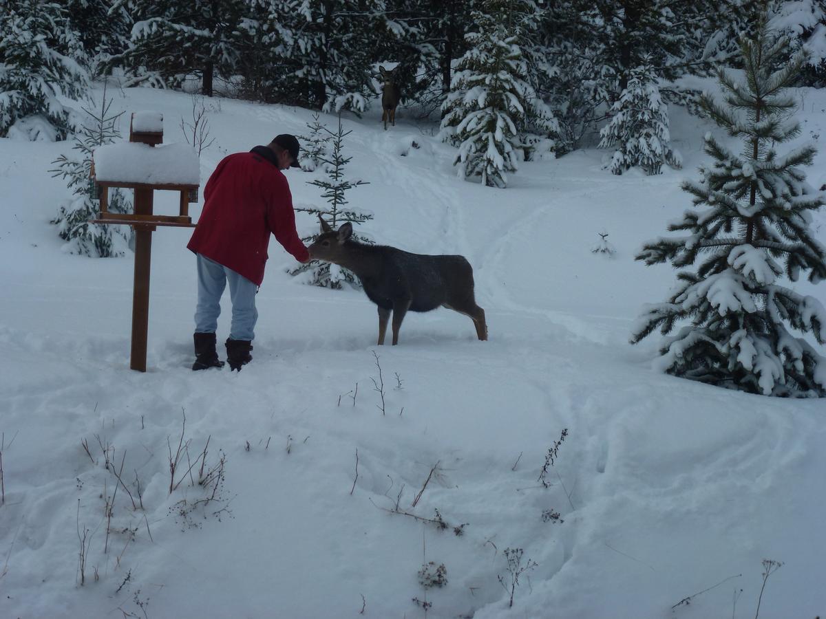 Bridge Lake Little Black Bear Lodge/B&B מראה חיצוני תמונה