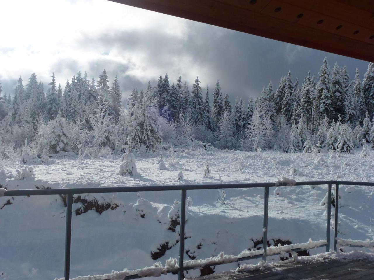 Bridge Lake Little Black Bear Lodge/B&B מראה חיצוני תמונה